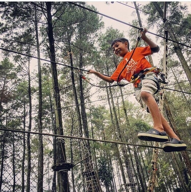 Great adventure spot in tall, tall trees. Fantastic place to spend a day. Java, Indonesia.