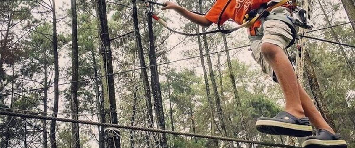 A person navigating a rope bridge in a forested area.