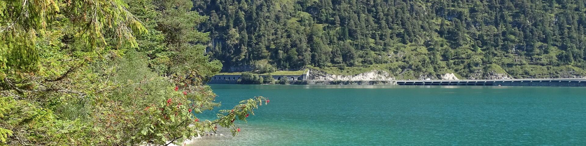 Achensee in Tirol, Bezirk Schwaz, Wanderweg zwischen Pertisau und Achenkirch über die Gaisalm