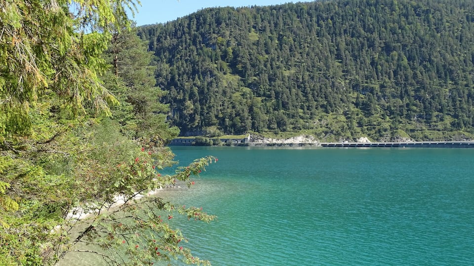 A lake surrounded by dense forest and a mountain.
