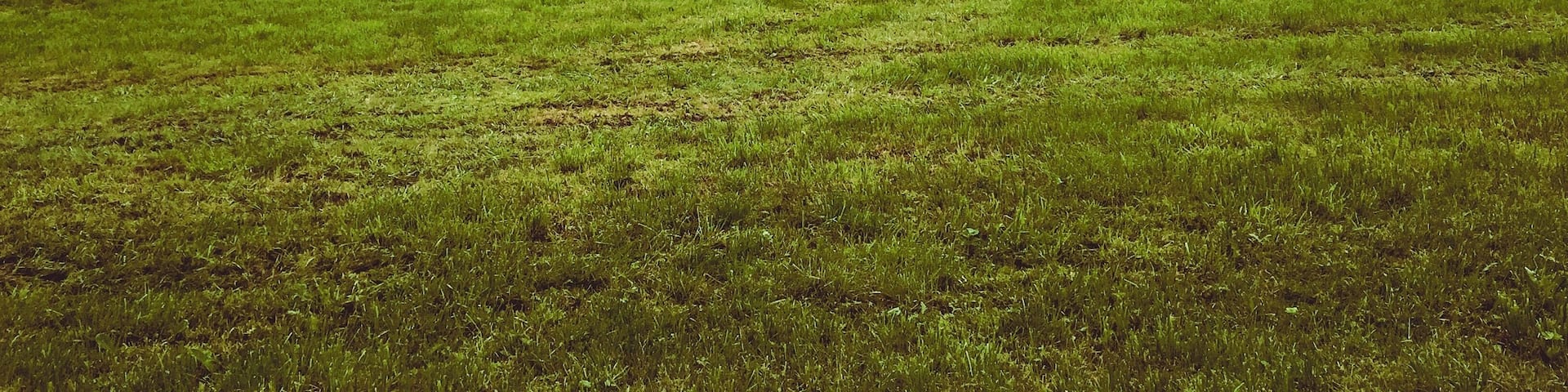 Pertisau an amazing place to spend your time in. It’s Very beautiful & quiet. You can do hiking or cycling in there & enjoying the beauty of this village.