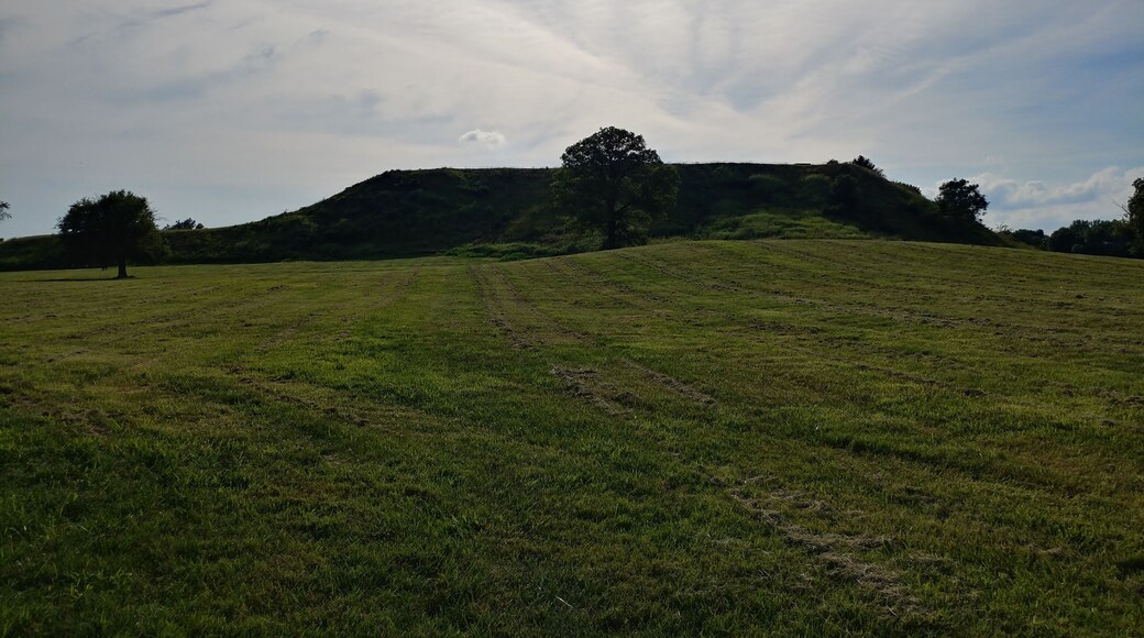 Monk's Mound covers almost 14 acres and rises 100 feet. A part of the larger ancient city of Cahokia that at its peak housed 10-15 thousand people.