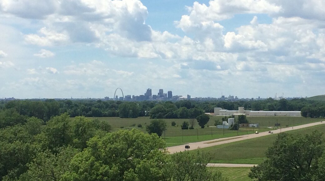 Looking out on St. Louis, MO