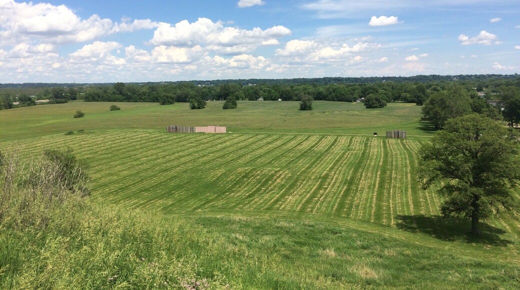 Central Plaza view from top of Monks Mound