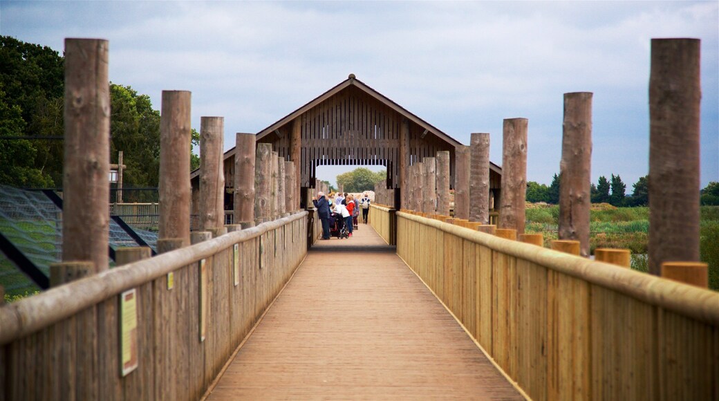 Yorkshire Wildlife Park featuring zoo animals and a bridge as well as a small group of people