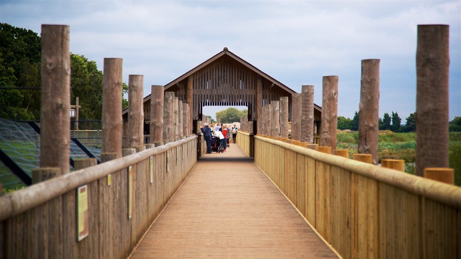 Yorkshire Wildlife Park featuring zoo animals and a bridge as well as a small group of people