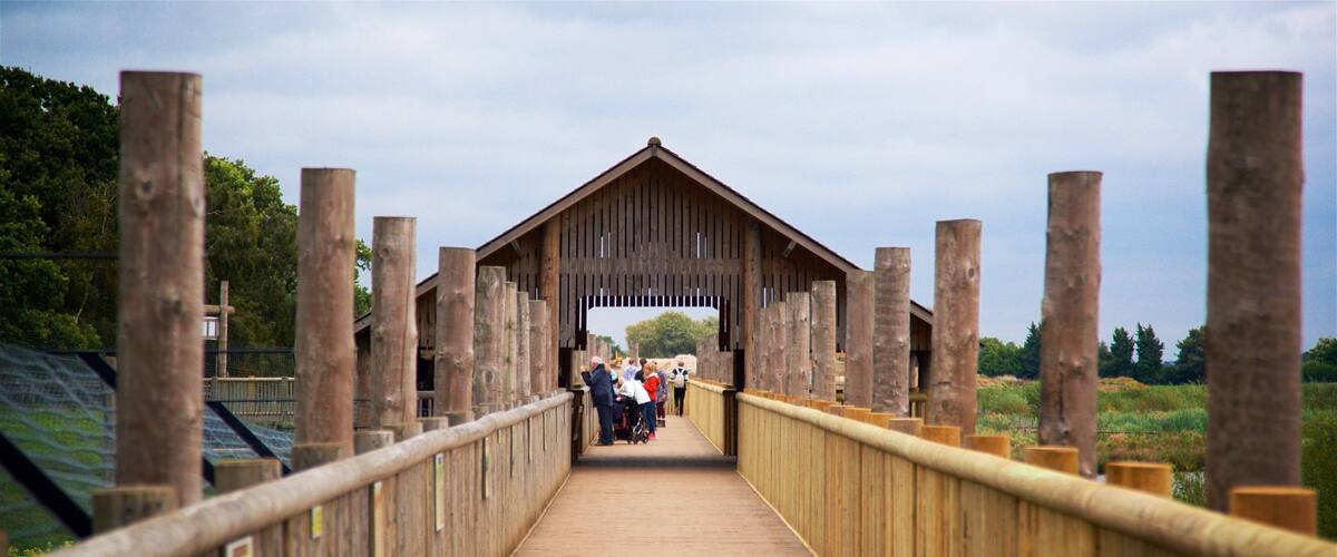 A wooden pedestrian bridge with a covered walkway, surrounded by greenery and trees.