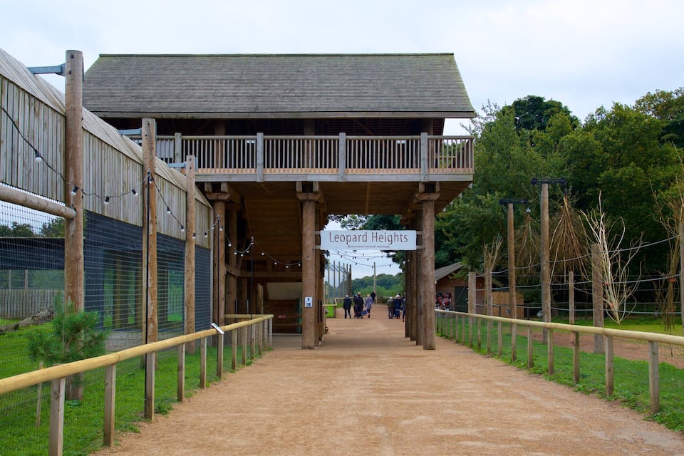 A wooden pedestrian bridge with a sign reading "Leopard Heights" leading to a building with a sloped roof.