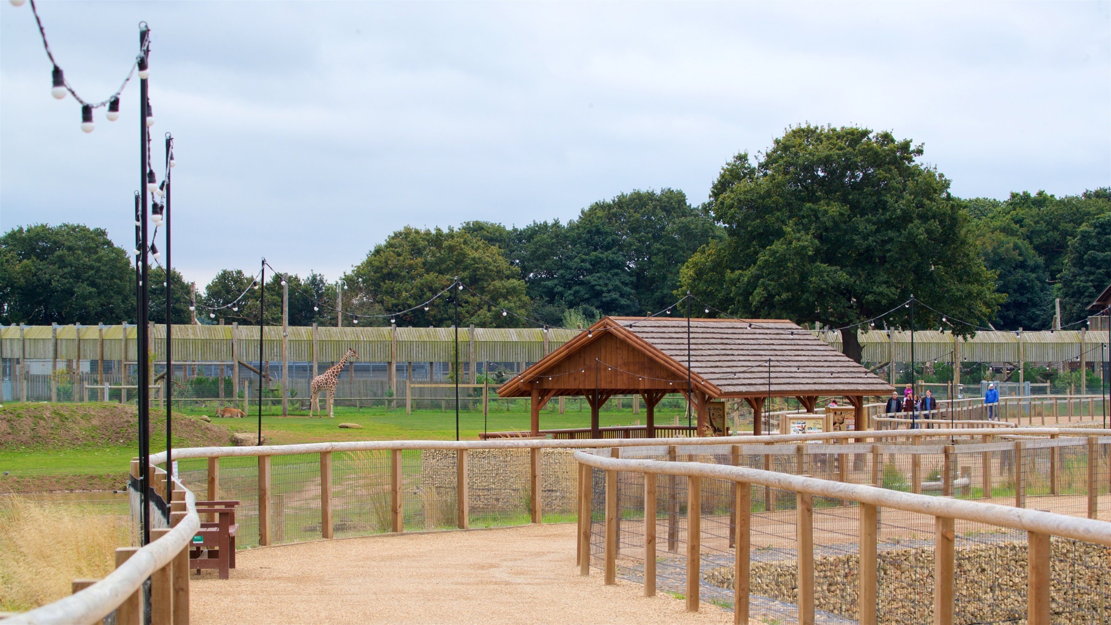 Yorkshire Wildlife Park qui includes animaux de zoo