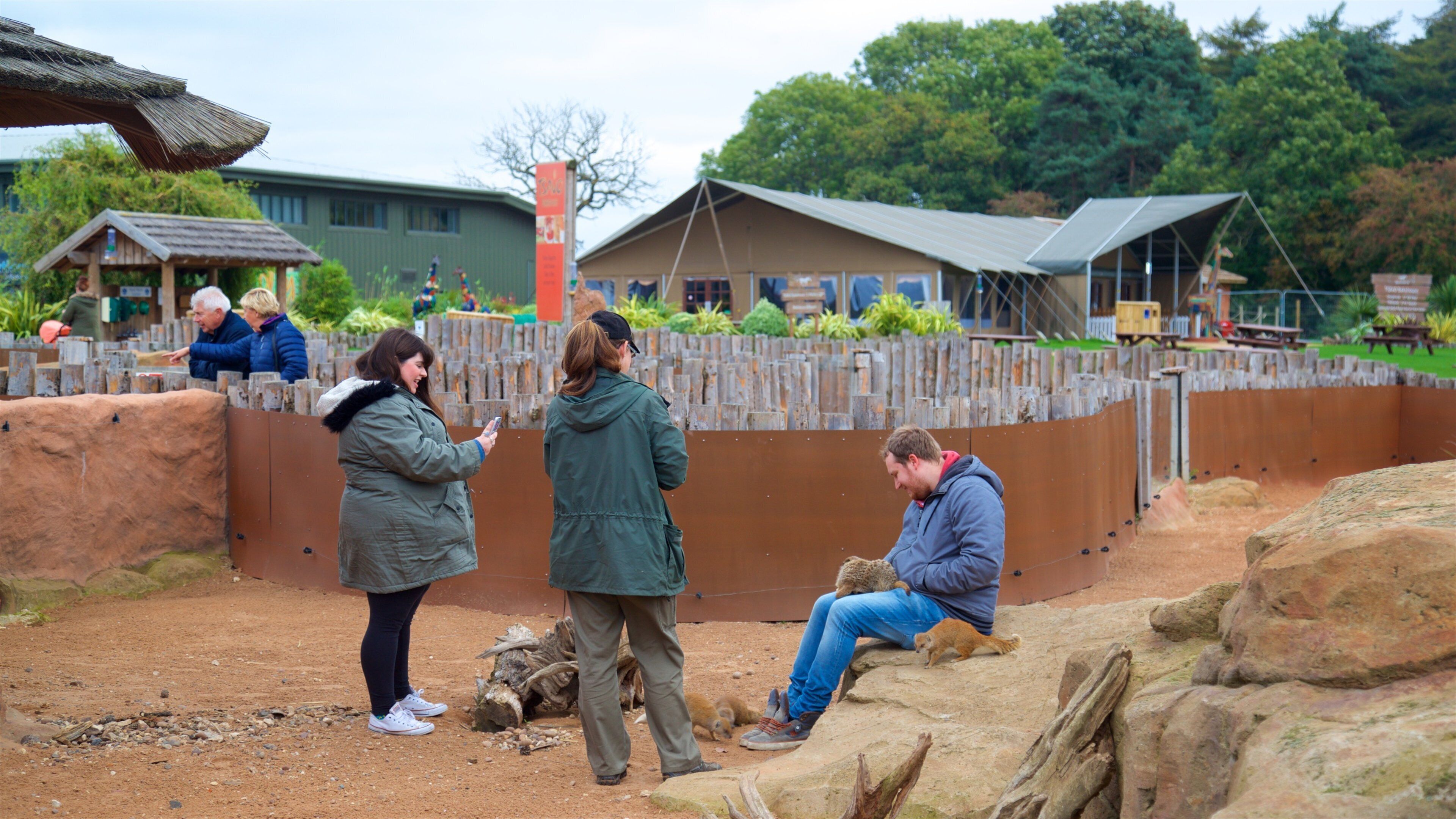 Yorkshire Wildlife Park showing cuddly or friendly animals and zoo animals as well as a small group of people