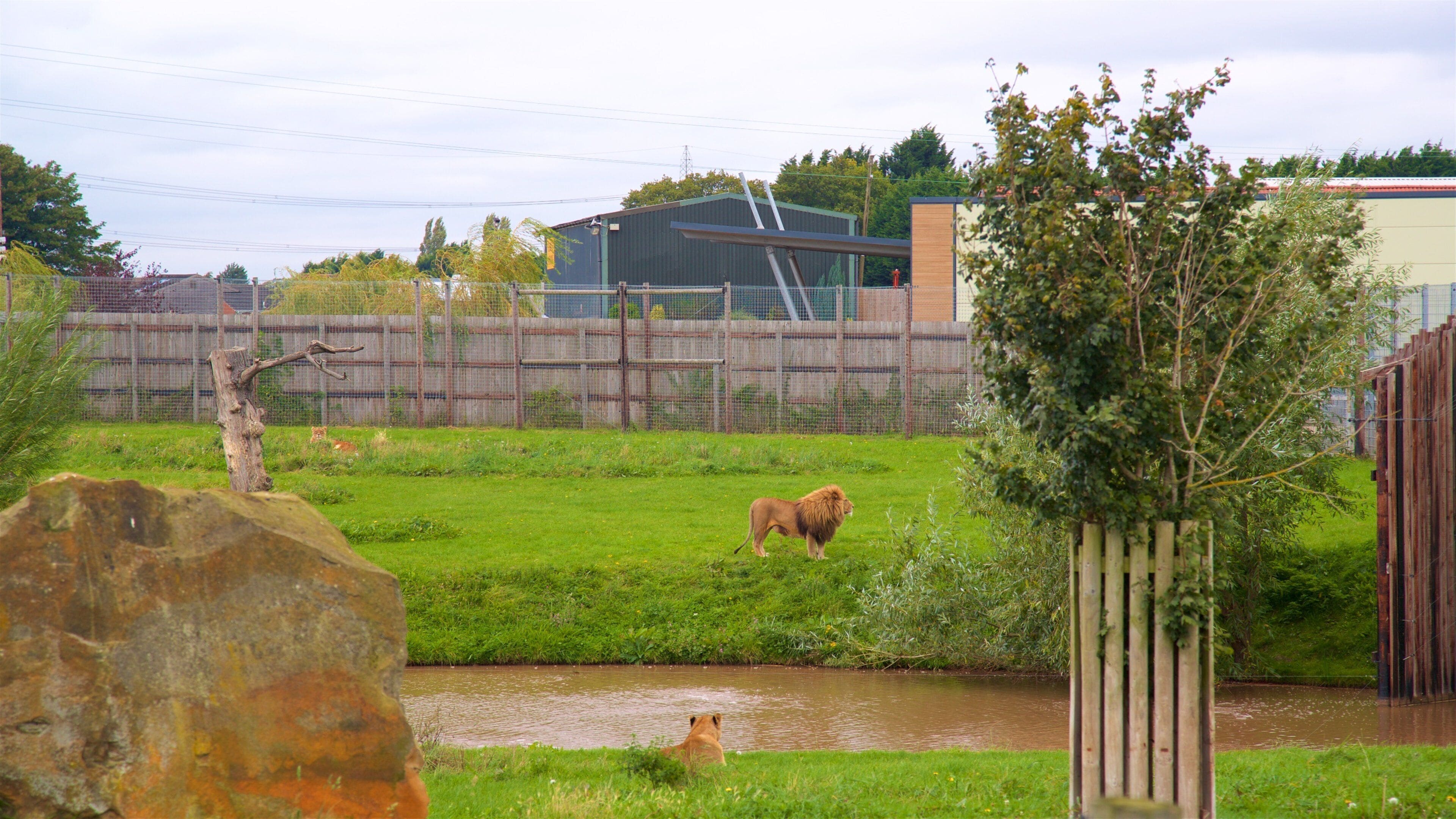 Yorkshire Wildlife Park