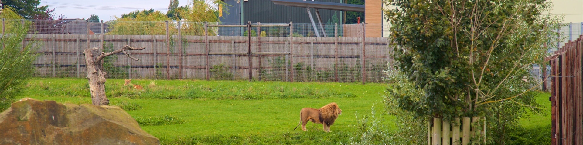 约克郡野生动物园