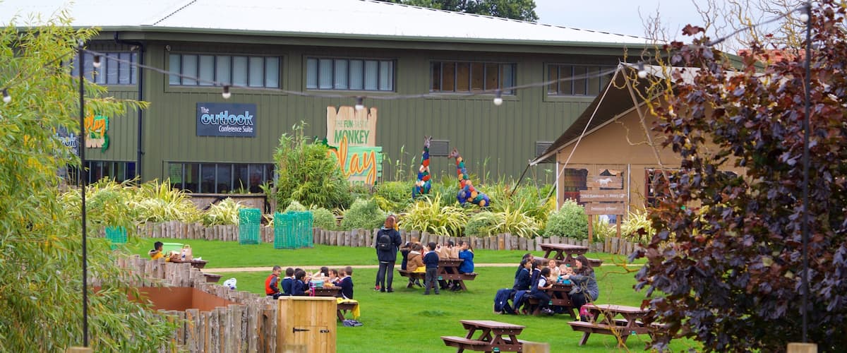 Yorkshire Wildlife Park ofreciendo un parque y también un pequeño grupo de personas