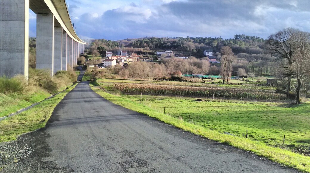 Vista parcial da aldea de Reguengo, da parroquia de Botos (Lalín), a carón do viaduto do ferrocarril