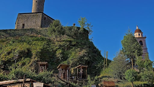 Torre del castello Spinola