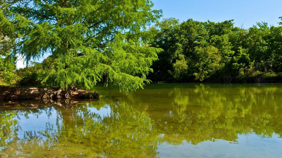 A calm lake surrounded by lush green trees.
