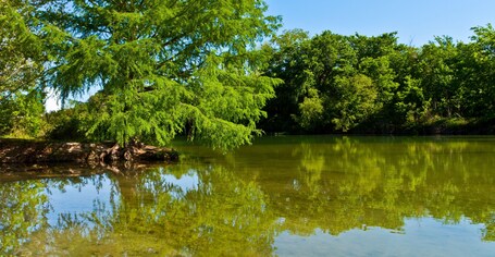 A calm lake surrounded by lush green trees.