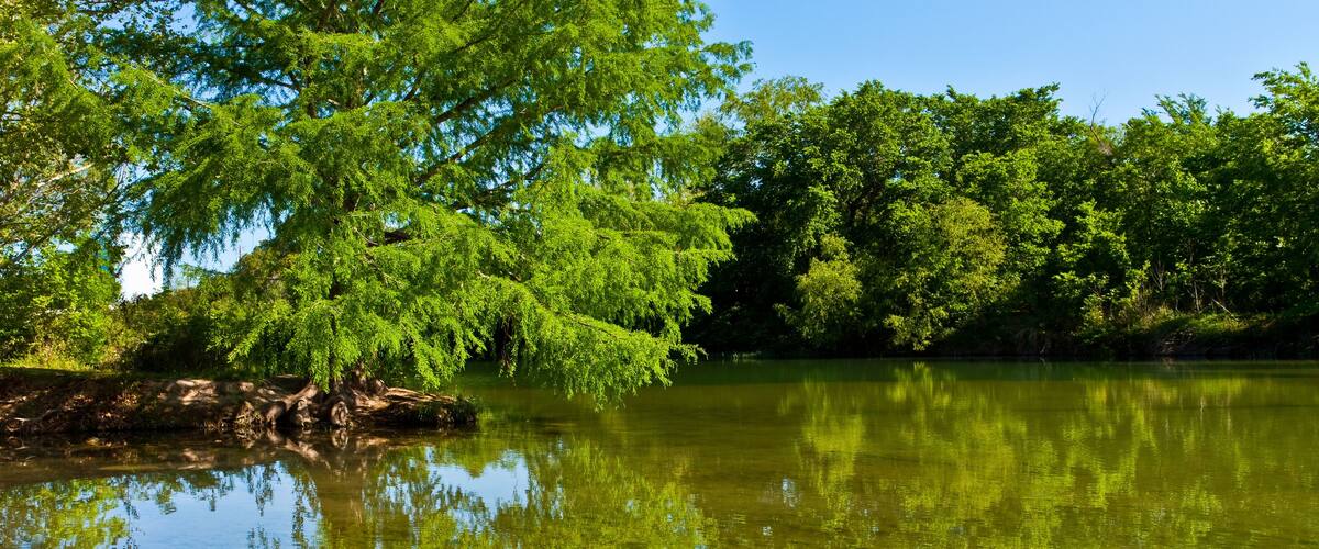 A calm lake surrounded by lush green trees.