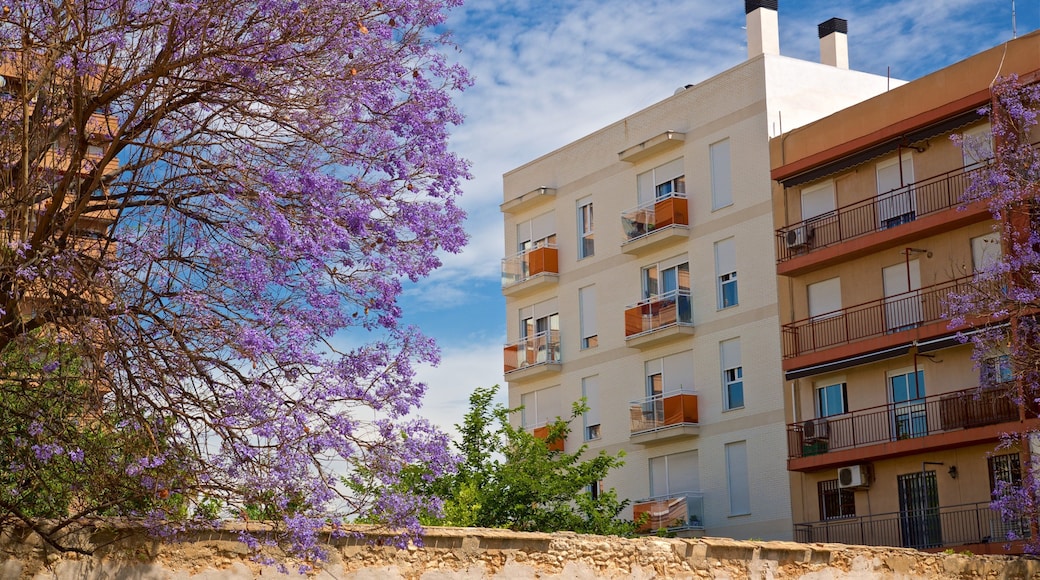 Feria Valencia showing wildflowers
