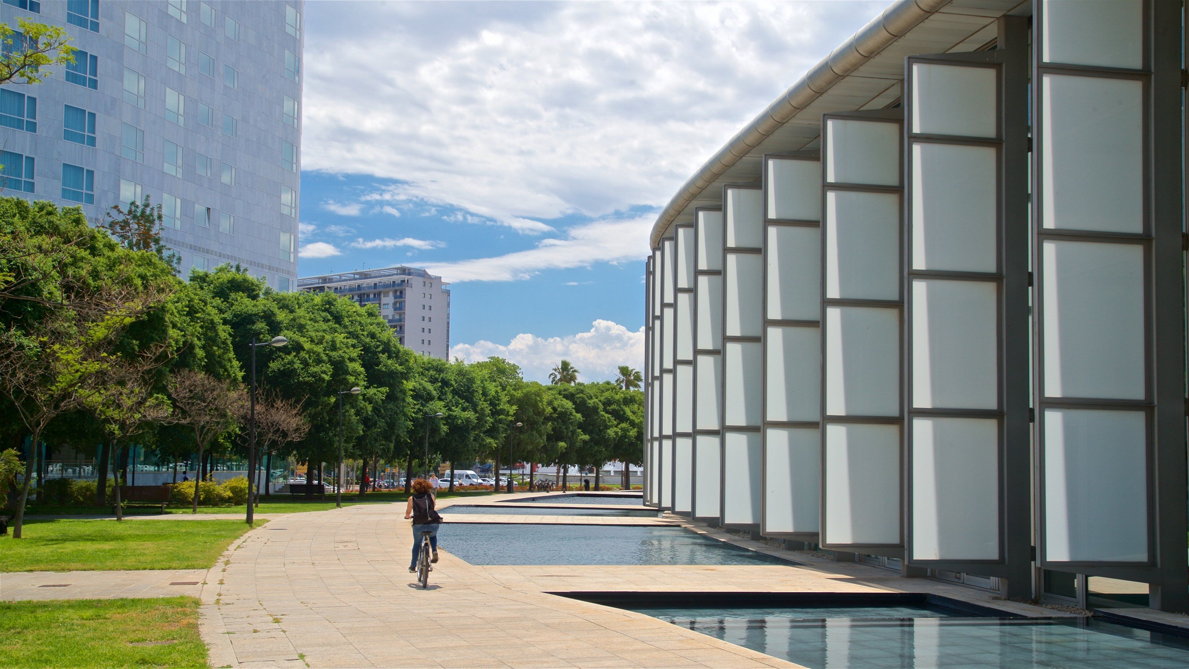 Valencia Conference Centre showing a park and cycling as well as an individual femail