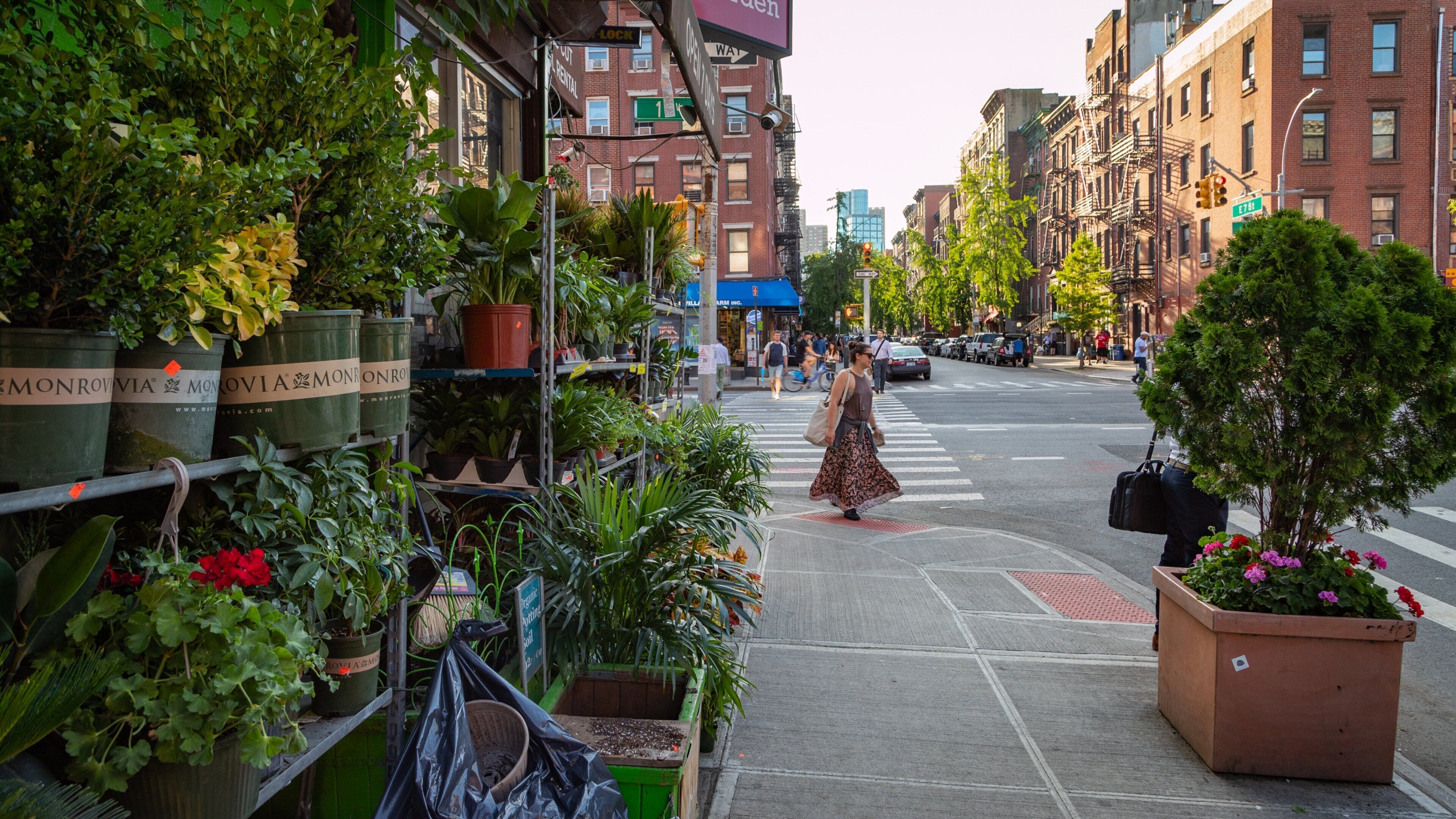 East Village featuring flowers and street scenes