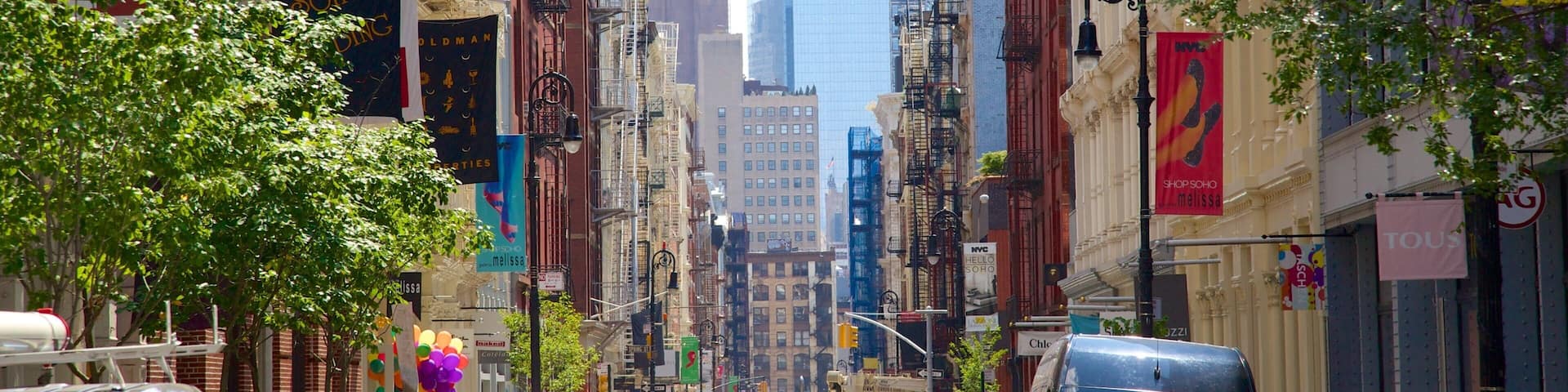 SoHo - Tribeca showing a city