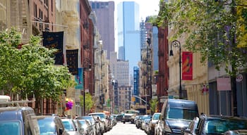 SoHo - Tribeca which includes a city