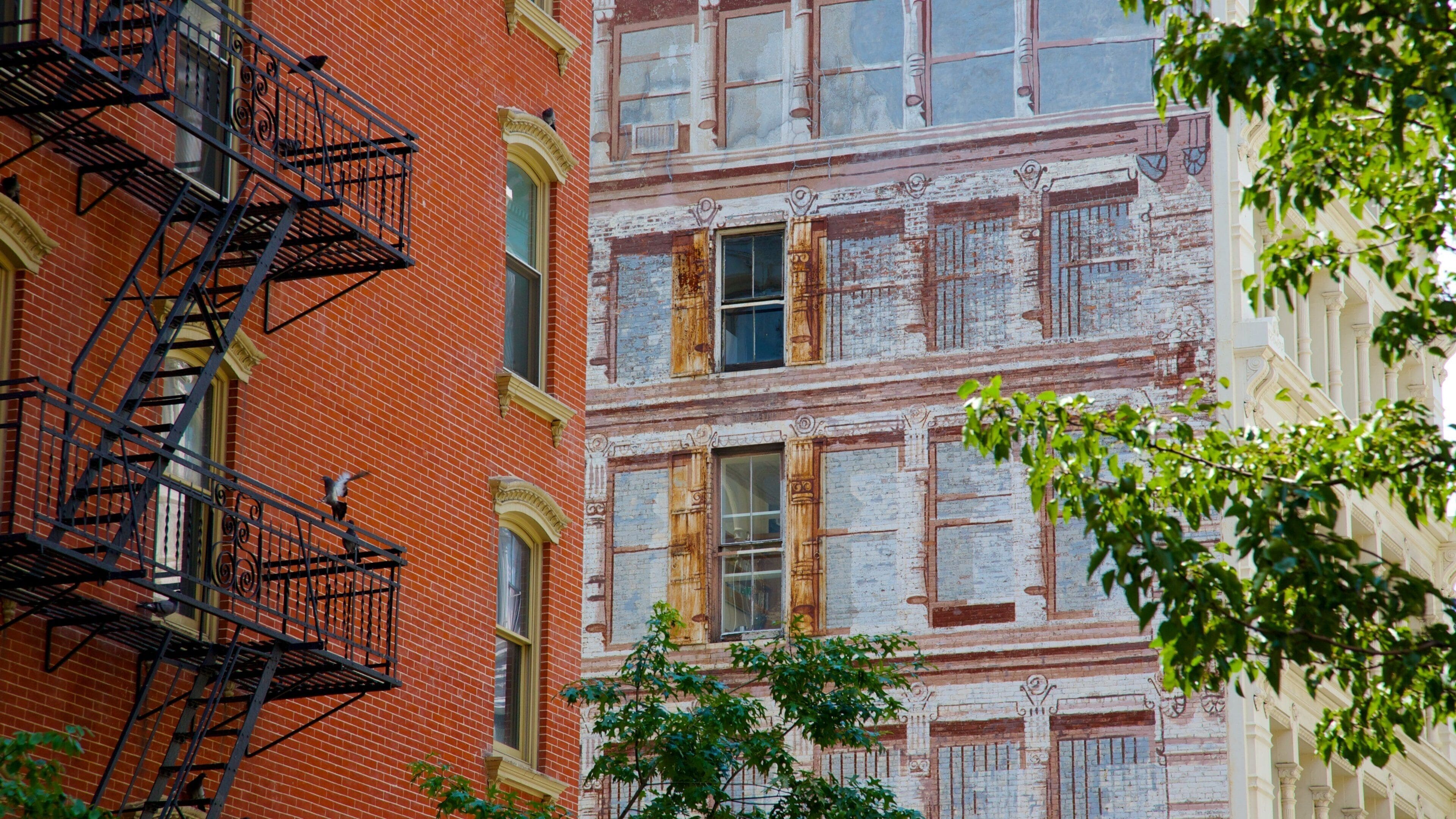 SoHo - Tribeca which includes a city