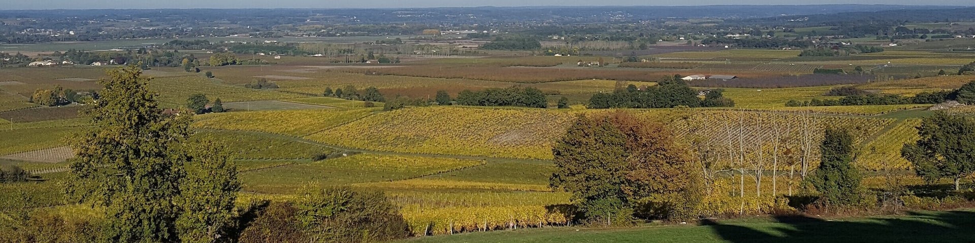 French southwest vineyards in Autumn #lifeatexpedia