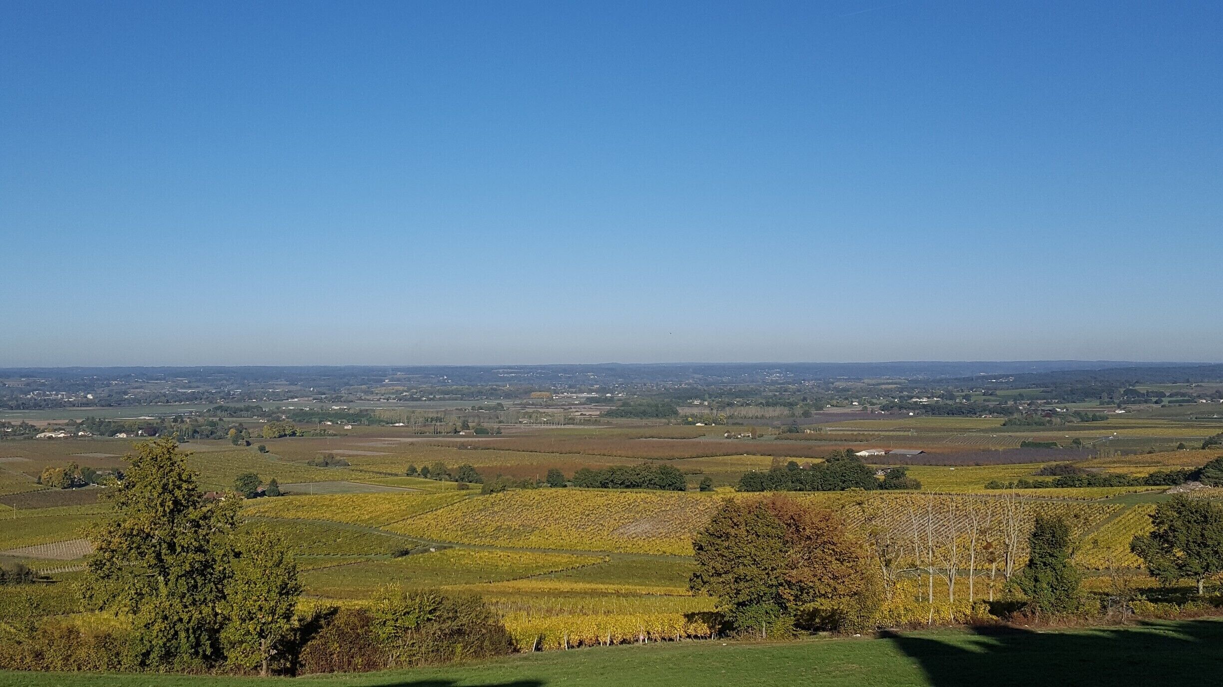 A panoramic view of a rural landscape with rolling hills, vineyards, and scattered buildings under a clear blue sky.