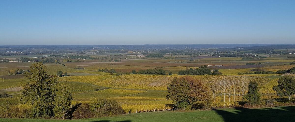 A panoramic view of a rural landscape with rolling hills, vineyards, and scattered buildings under a clear blue sky.