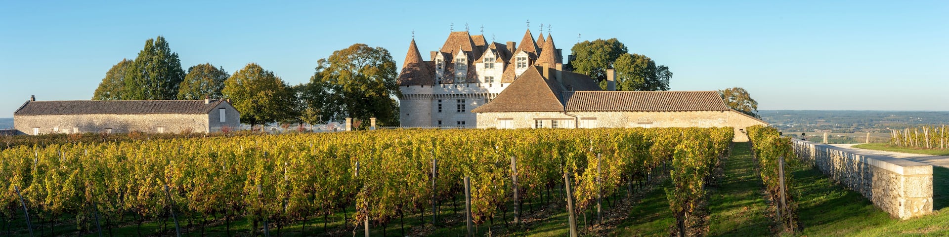 A castle with a vineyard in the foreground.
