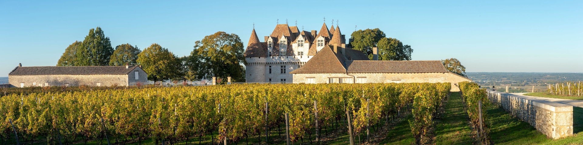 Um castelo com um vinhedo em primeiro plano.