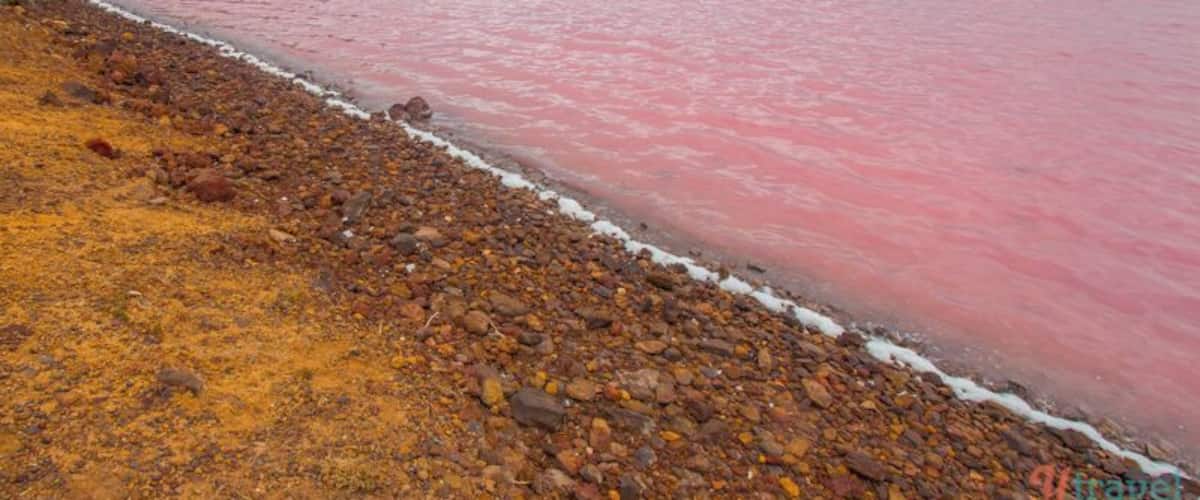 Yesterday on the drive from Kalbarri to Perth we stopped at Pink Lake in Port Gregory. Its pink hue is created by bacteria (Dunaliella salina), which becomes trapped in the salt granules. Amazing to see. It really is this pink :)
