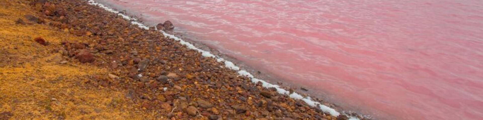 Yesterday on the drive from Kalbarri to Perth we stopped at Pink Lake in Port Gregory. Its pink hue is created by bacteria (Dunaliella salina), which becomes trapped in the salt granules. Amazing to see. It really is this pink :)