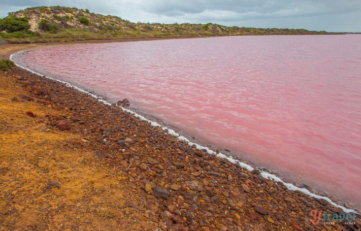 Yesterday on the drive from Kalbarri to Perth we stopped at Pink Lake in Port Gregory. Its pink hue is created by bacteria (Dunaliella salina), which becomes trapped in the salt granules. Amazing to see. It really is this pink :)