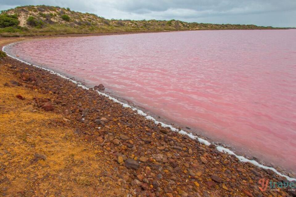 A beach with pink water, pebbles, and a hilly landscape.