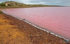 Yesterday on the drive from Kalbarri to Perth we stopped at Pink Lake in Port Gregory. Its pink hue is created by bacteria (Dunaliella salina), which becomes trapped in the salt granules. Amazing to see. It really is this pink :)