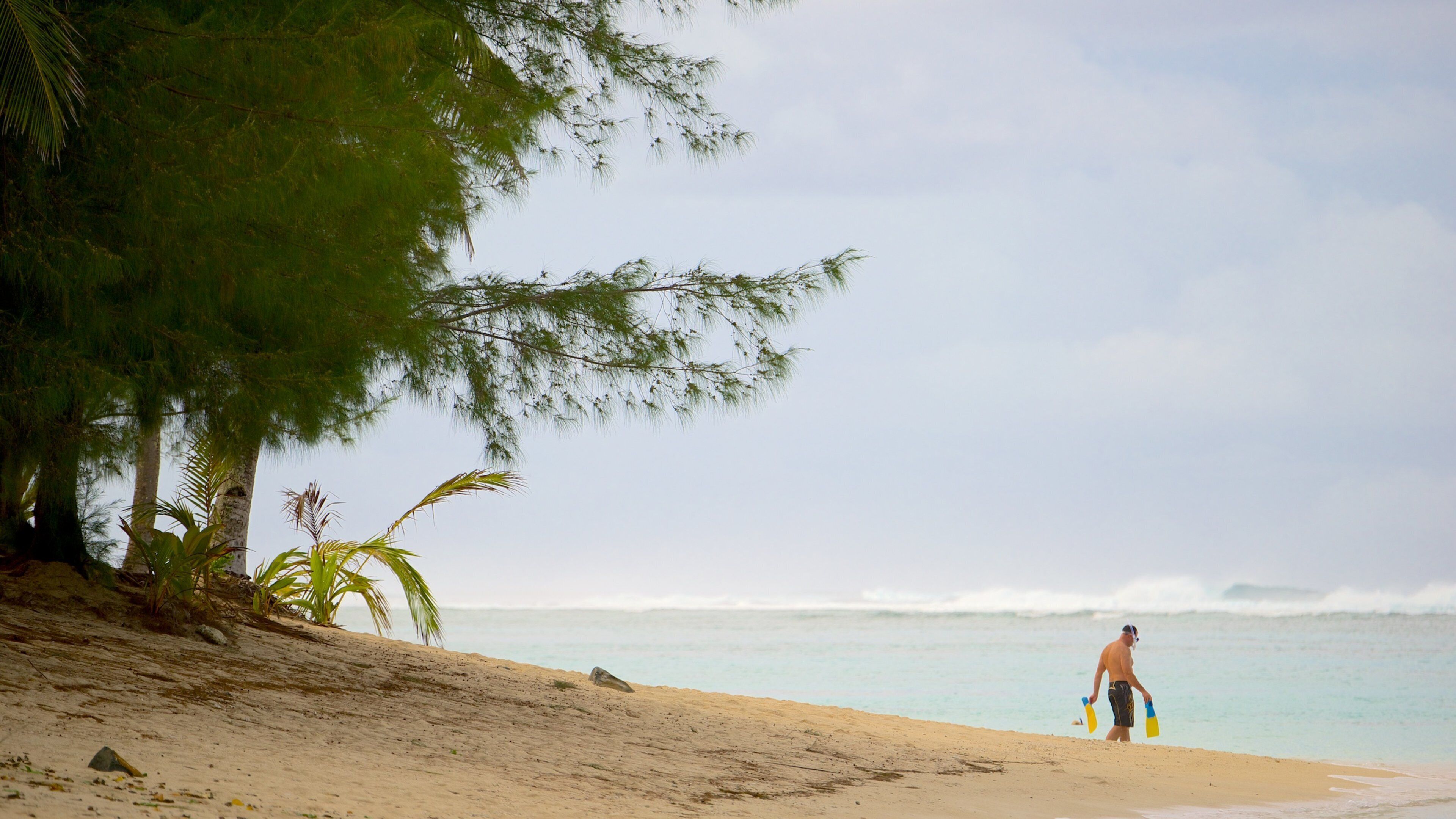Aro\'a Beach showing a beach