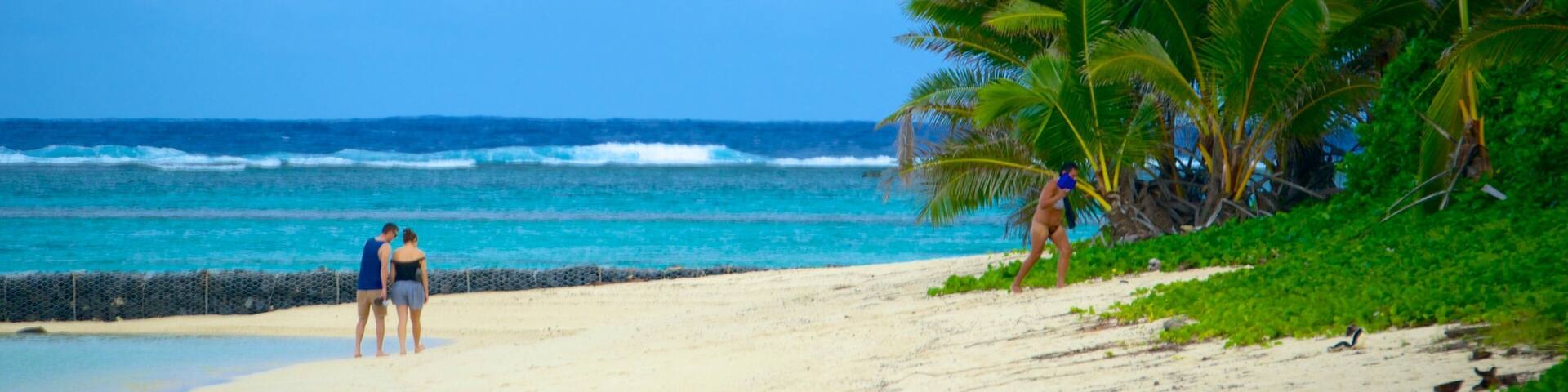 Aro\'a Beach which includes a sandy beach as well as an individual male