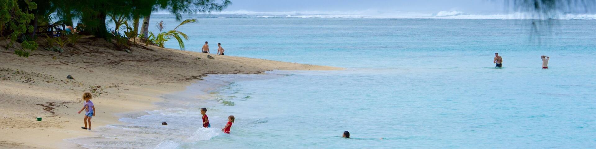 Aro\'a Beach which includes a beach