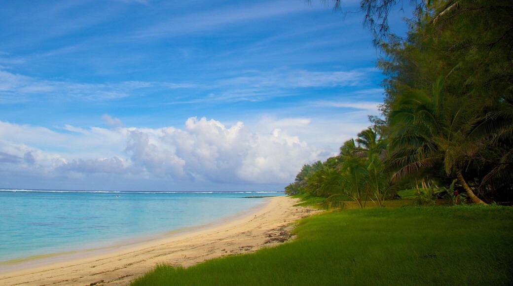 Aroa Beach featuring a beach