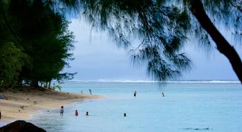 Aroa Beach welches beinhaltet Strand