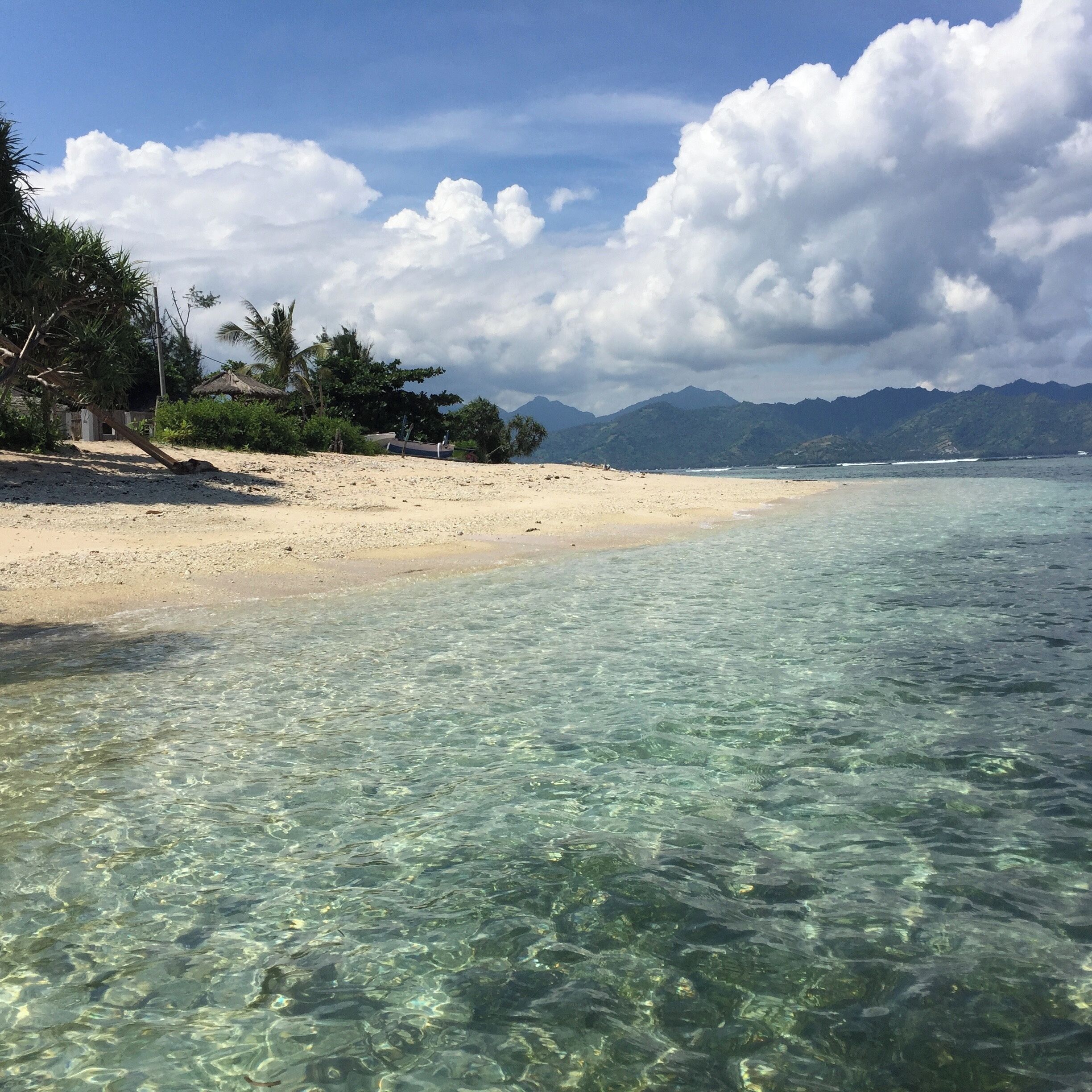 "Two roads diverged in a wood and I – I took the one less traveled by.” (Robert Frost) This is Gili Meno - my favorite island and the least visited one. I have no idea why! #damniloveindonesia