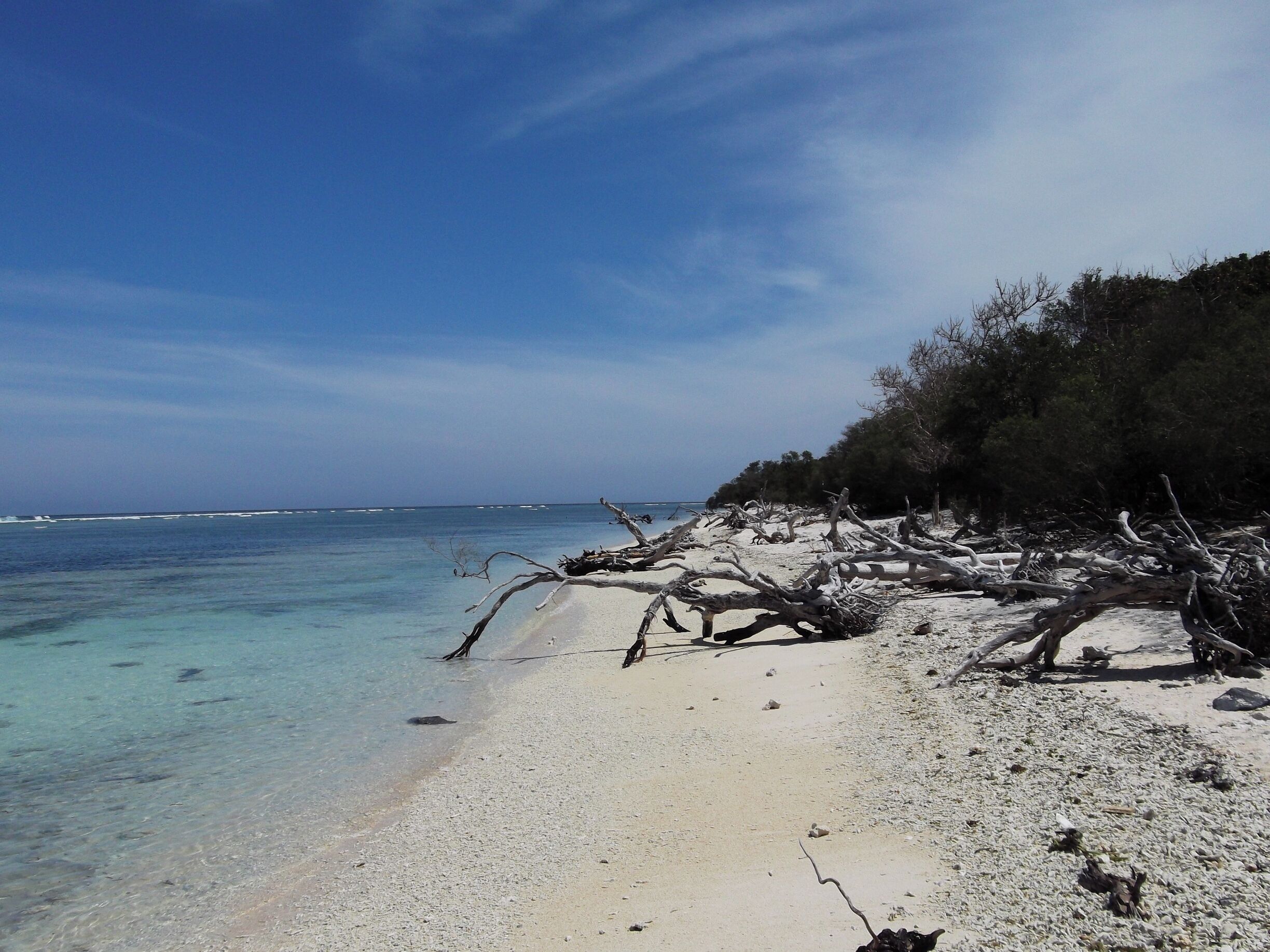 This is the more secluded part of Gili Trawagan, Indonesia.  Other than by foot, the only other mode of transportation allowed on the island are horse drawn carts and bicycles--bikes do not travel so well in sand.