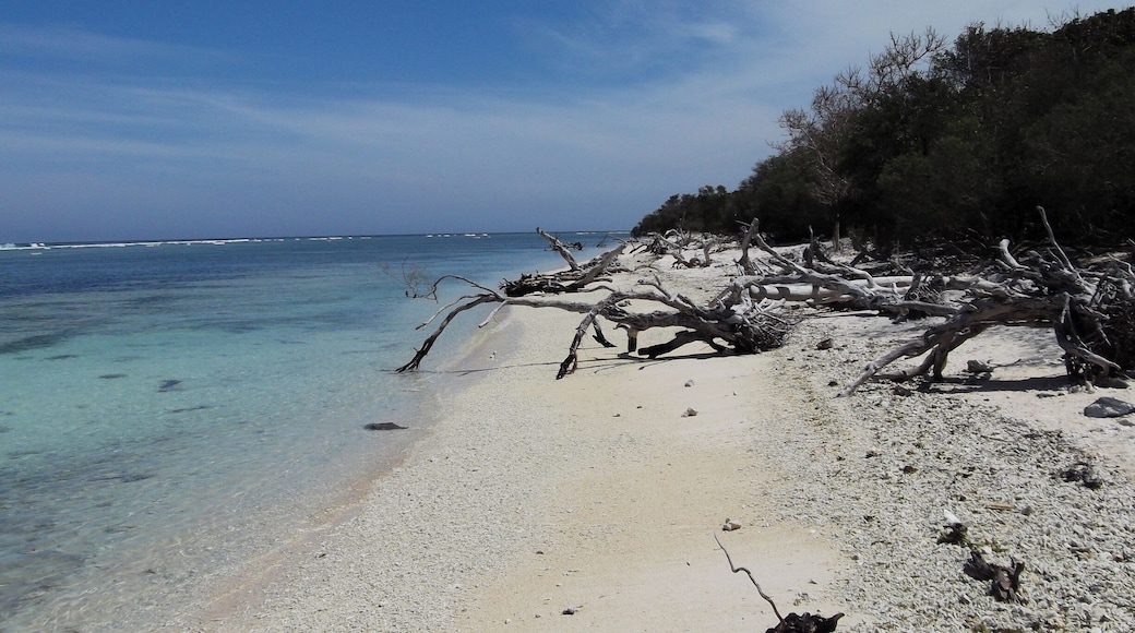 This is the more secluded part of Gili Trawagan, Indonesia. Other than by foot, the only other mode of transportation allowed on the island are horse drawn carts and bicycles--bikes do not travel so well in sand.