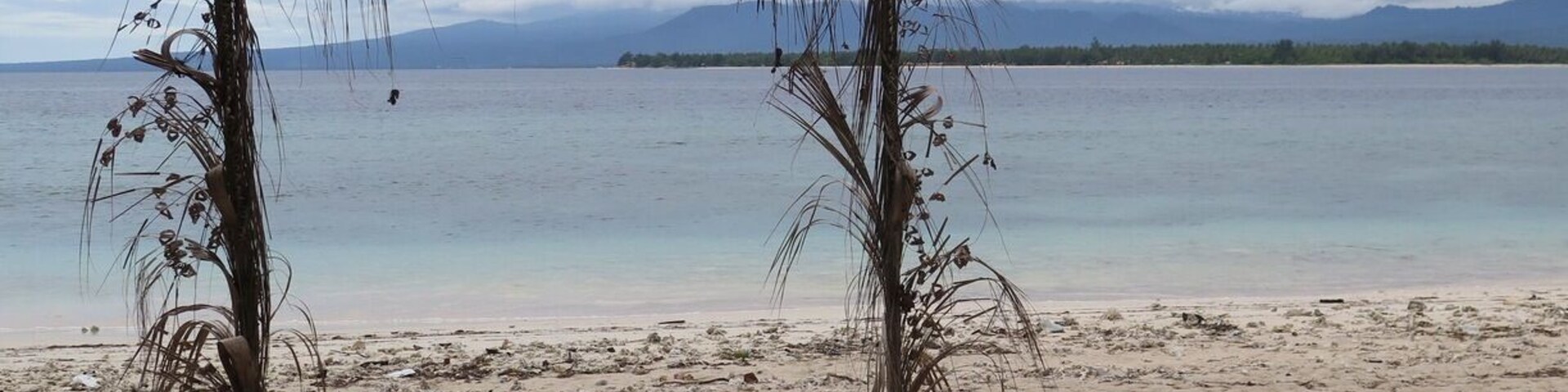 A beach with a wooden archway decorated with hanging plants.