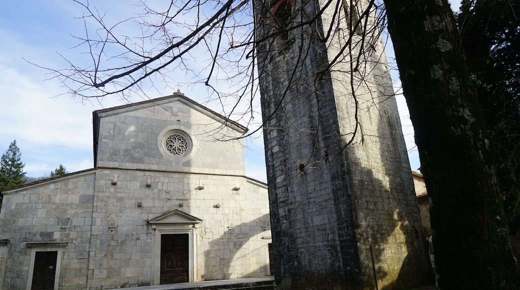 seravezza e zone limitrofi