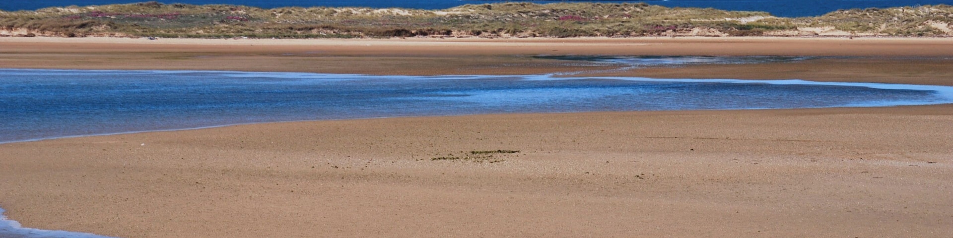 This is a photography of a Site of Community Importance in Spain with the ID: