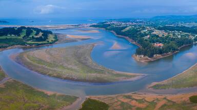 Aerial View, Marshes, Ria de Cubas, Miera river, Ribamontan al Mar Municipality, Marina de Cudeyo, Cantabria, Cantabrian Sea, Spain, Europe